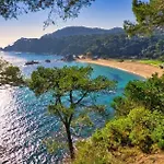 Villa Flamenco Lloret de Mar