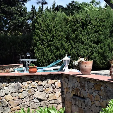 Flamenco Villa Lloret de Mar