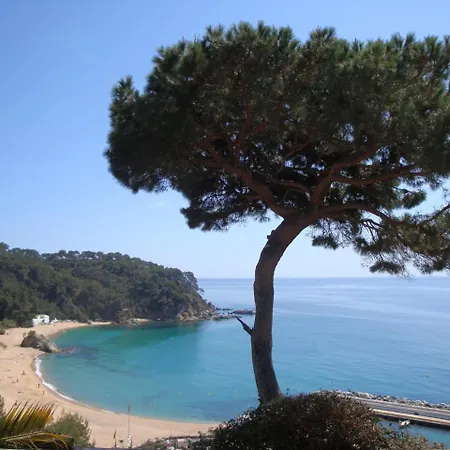 Villa Flamenco Lloret de Mar